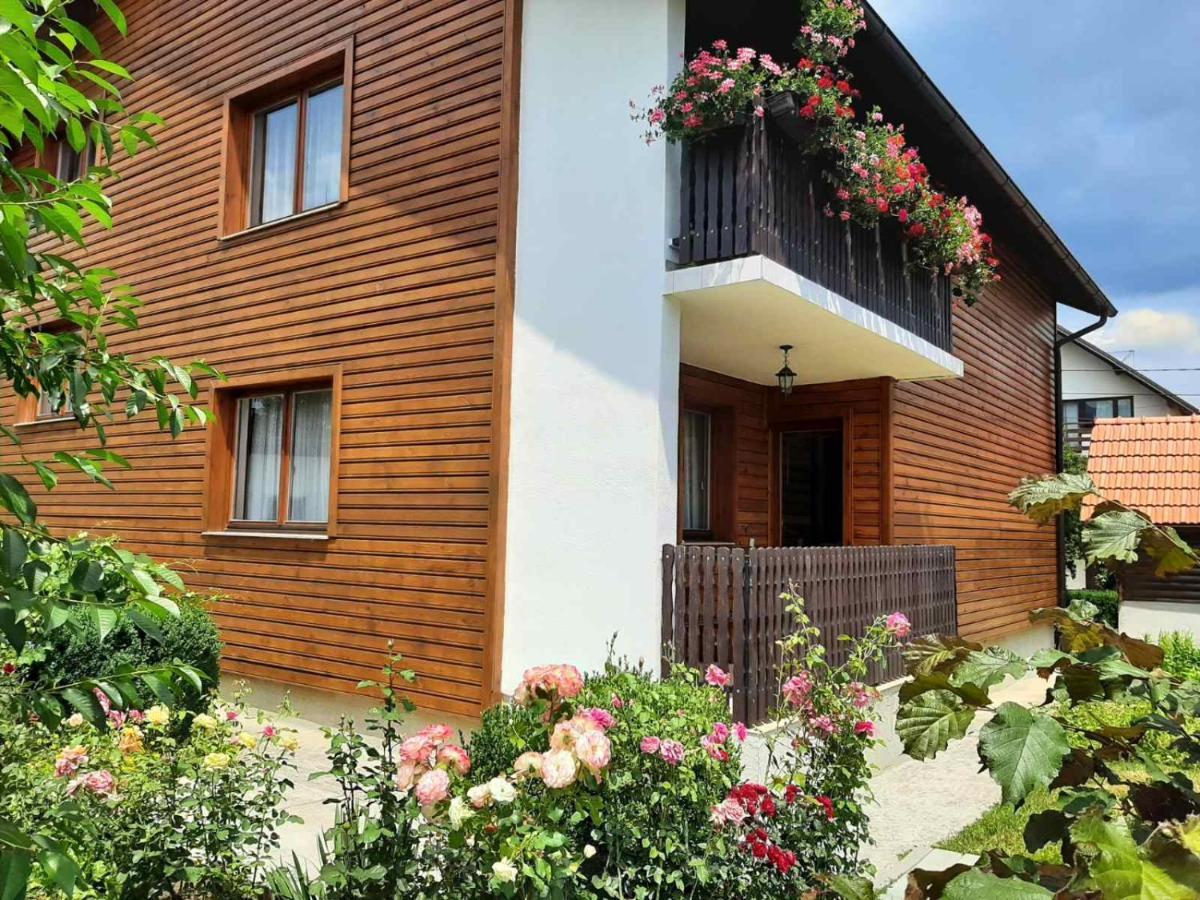 Aleksandar Apartmani Pale Ngoại thất bức ảnh